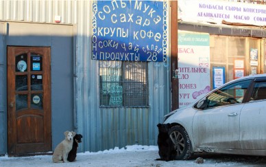 28 липецких сетей согласились публиковать цены на едином портале «Карта цен»