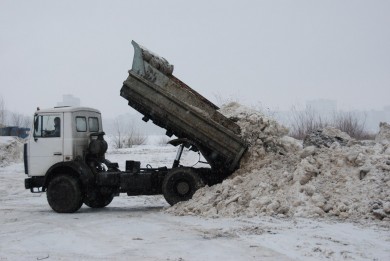 Синоптики: «Осадки в Липецке не превысили норму»