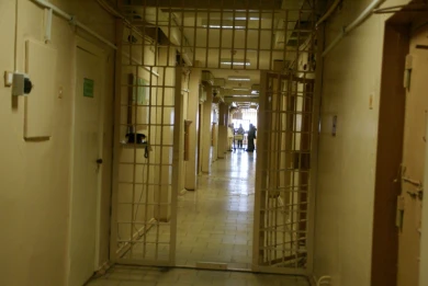 Жителя Липецкой области, зарезавшего соседа, могут посадить на 15 лет
