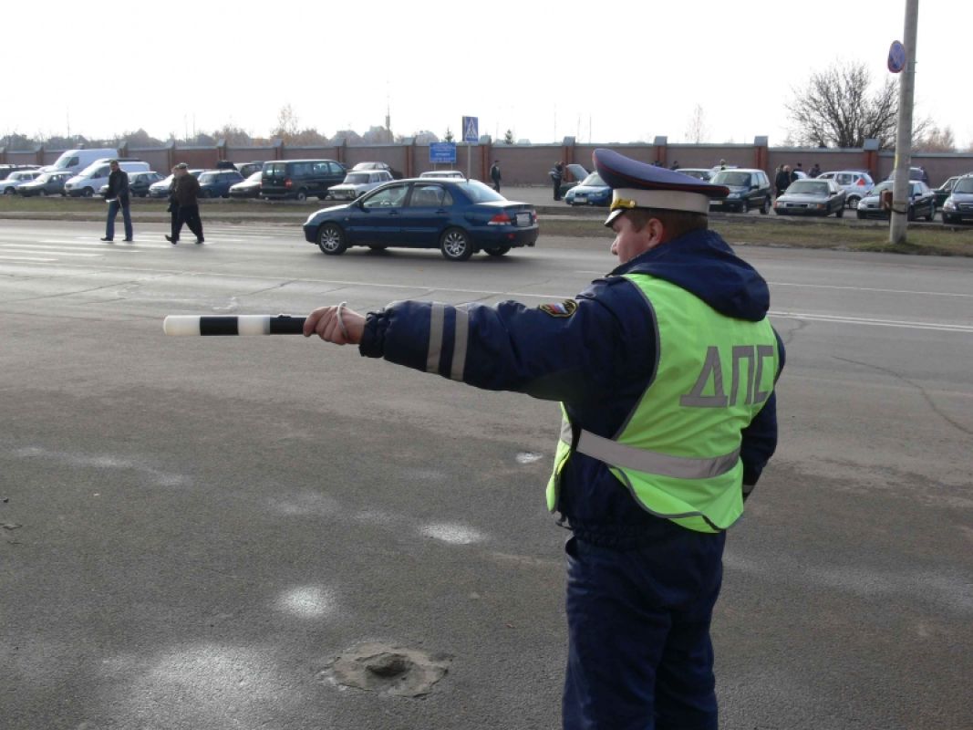Тамбовчанин, оскорбивший двух инспекторов на липецкой трассе "Дон", заплатит 10 тысяч рублей