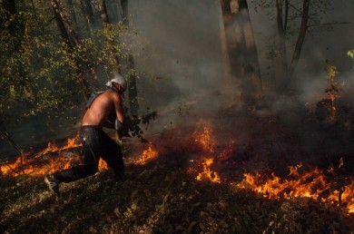 В липецких лесах начался пожароопасный сезон