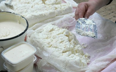 За четыре месяца в Липецке забраковали 33 партии молочной продукции