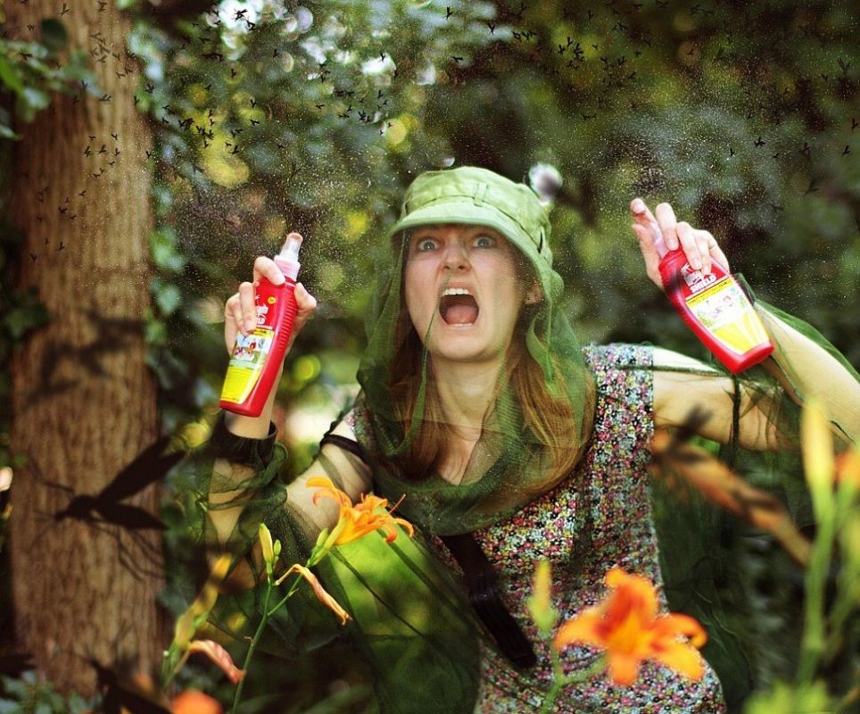 Комариное нашествие дошло до Липецка