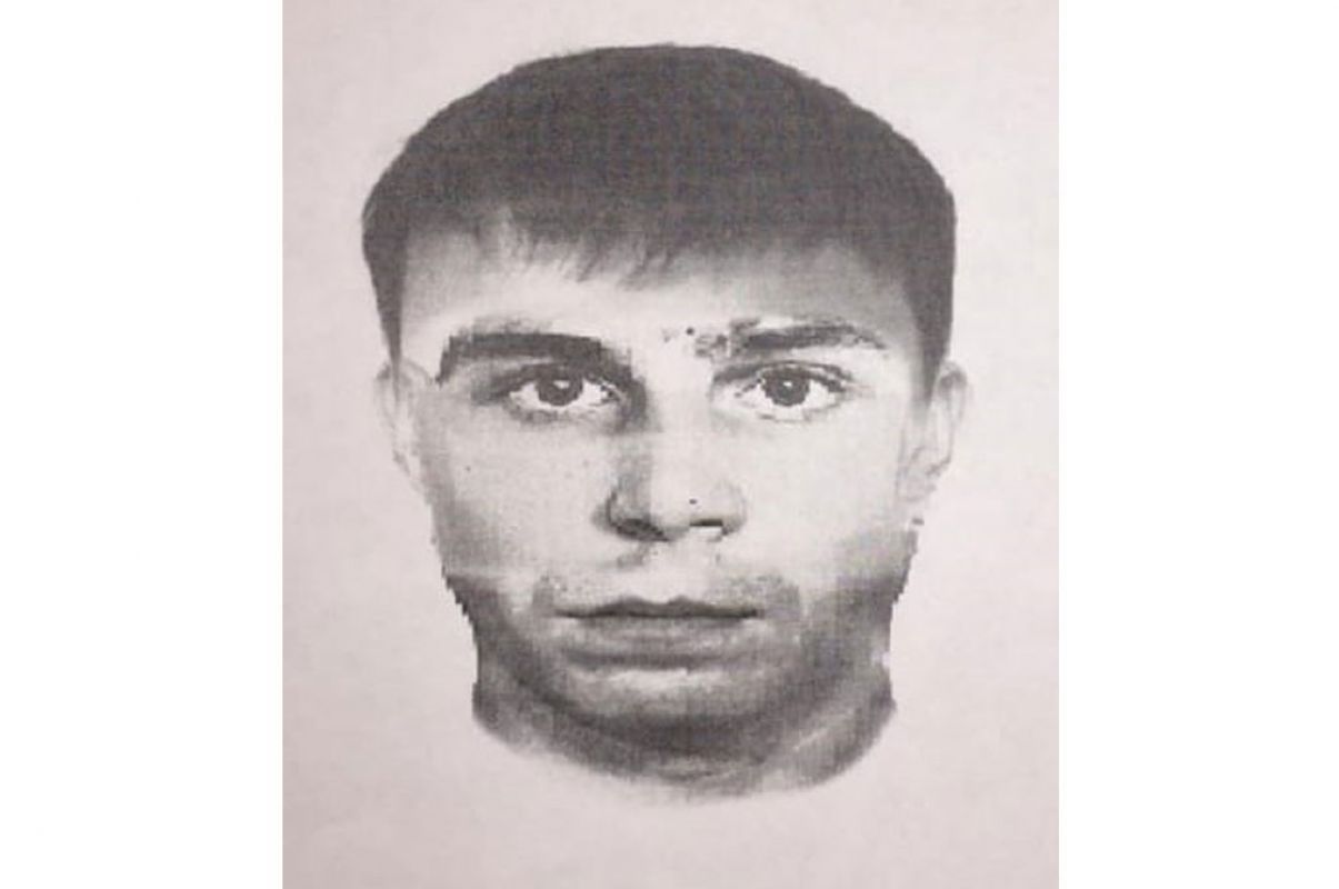В варанаре паймон нашла рисунок