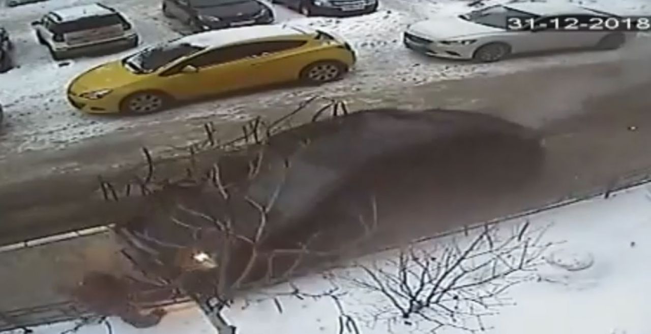 Лавренов евгений евгеньевич попал в дтп