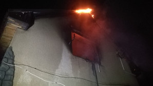 Ночью липецкие пожарные тушили два дома
